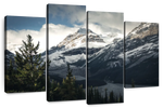 Mountain Top Wall Art