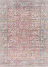 Dormont Washable Printed Jute Rug