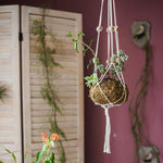 Cotton Hemp Rope Planter Hanger