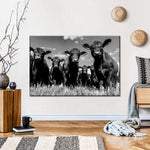 Monochrome Angus Cows Wall Art