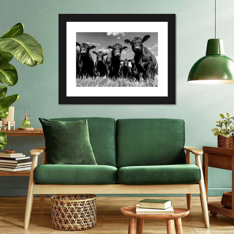 Monochrome Angus Cows Wall Art