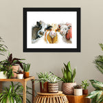 Livestock Cows Splash Wall Art