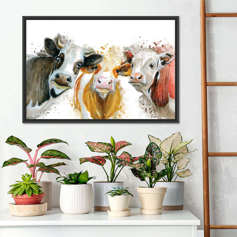 Livestock Cows Splash Wall Art