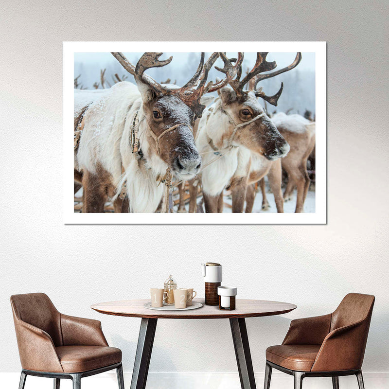 Snow Reindeer Wall Art