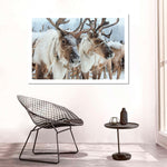 Snow Reindeer Wall Art