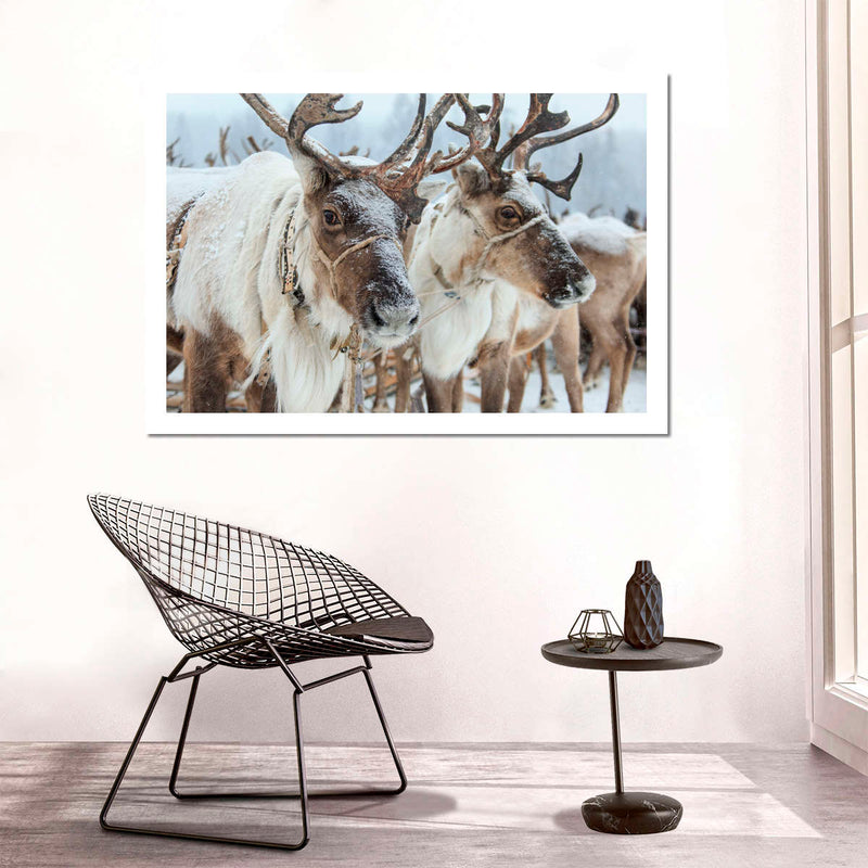 Snow Reindeer Wall Art