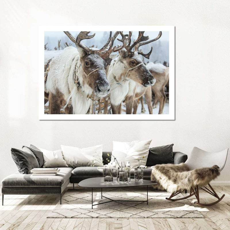 Snow Reindeer Wall Art
