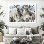 Snow Reindeer Wall Art