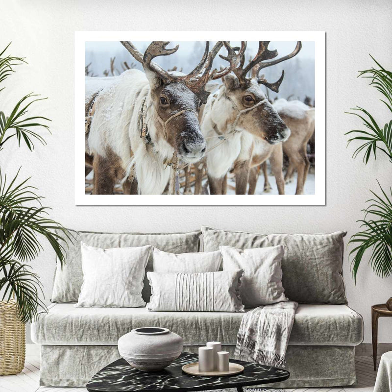 Snow Reindeer Wall Art