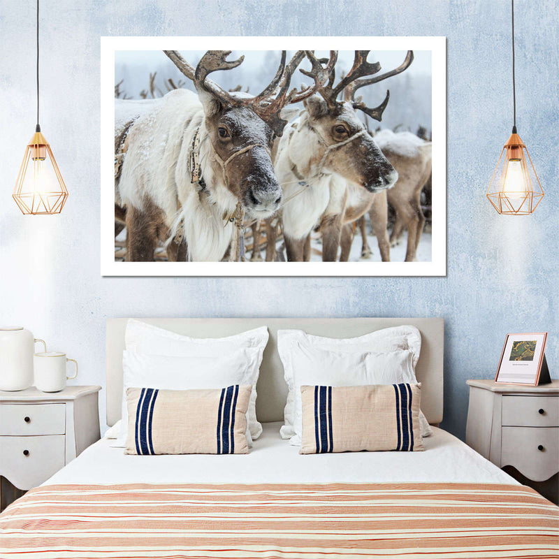 Snow Reindeer Wall Art