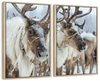 Snow Reindeer Wall Art