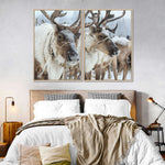 Snow Reindeer Wall Art