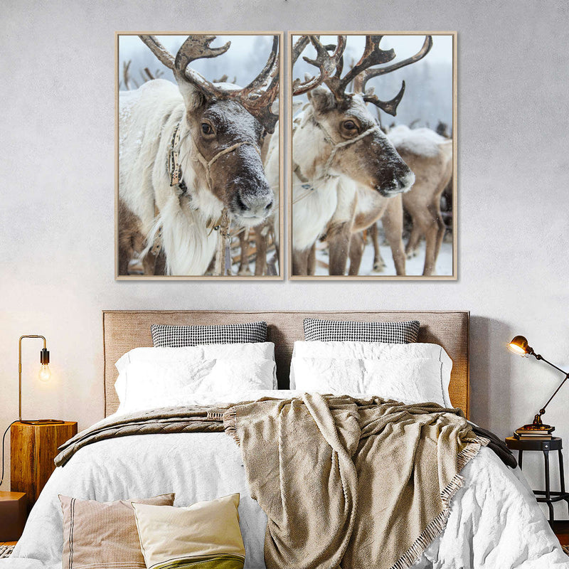 Snow Reindeer Wall Art