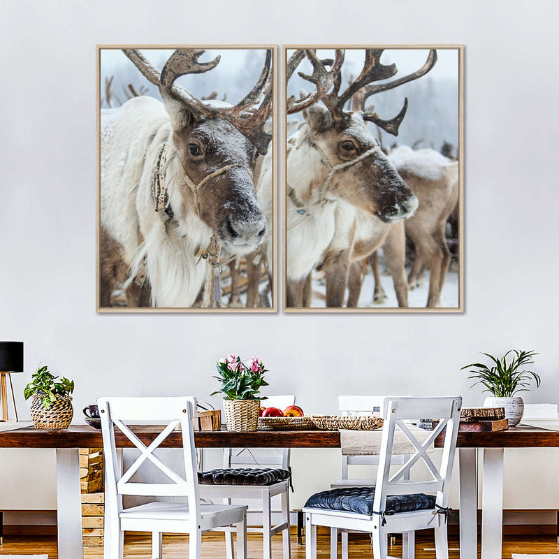 Snow Reindeer Wall Art