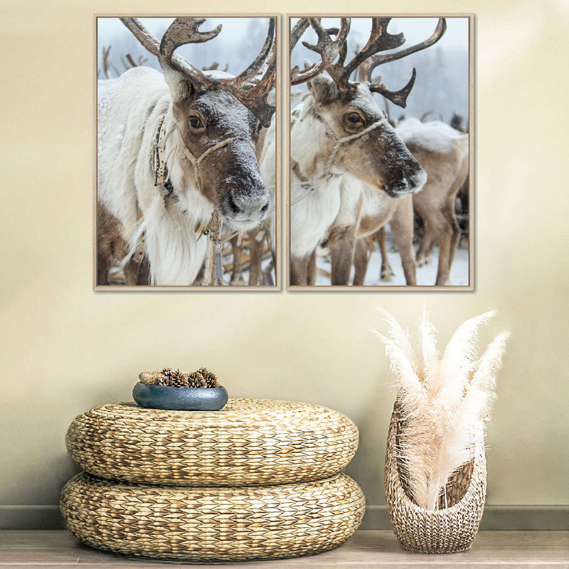 Snow Reindeer Wall Art