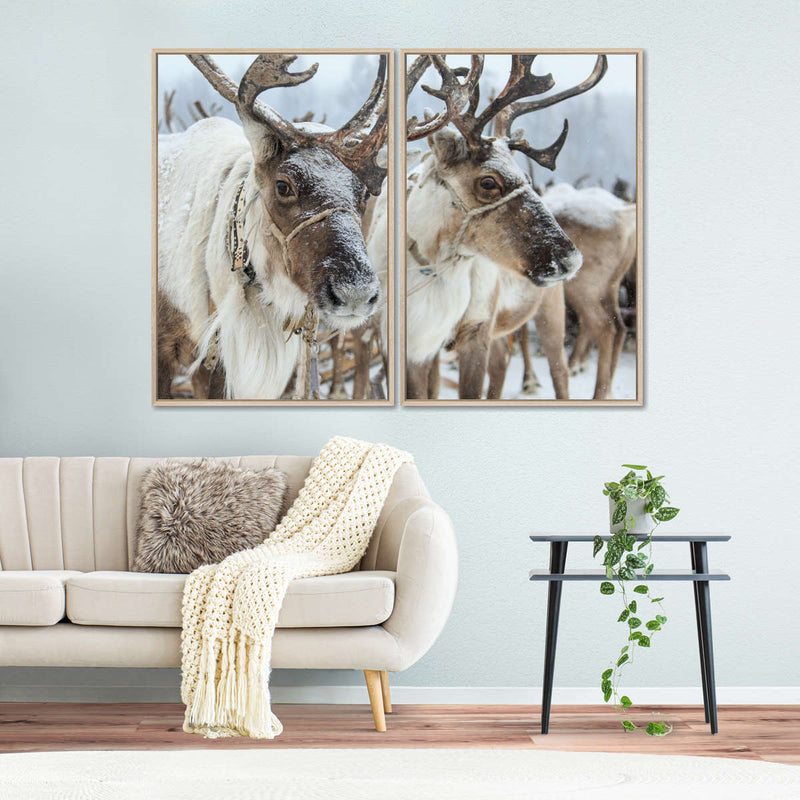 Snow Reindeer Wall Art
