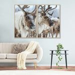 Snow Reindeer Wall Art