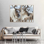 Snow Reindeer Wall Art