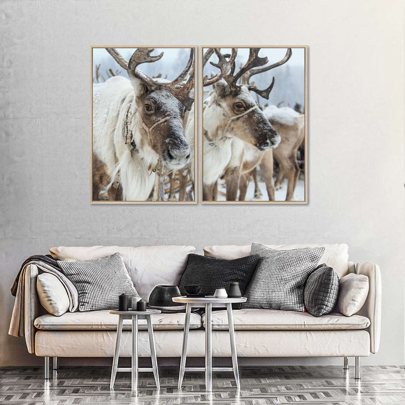 Snow Reindeer Wall Art