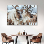 Snow Reindeer Wall Art