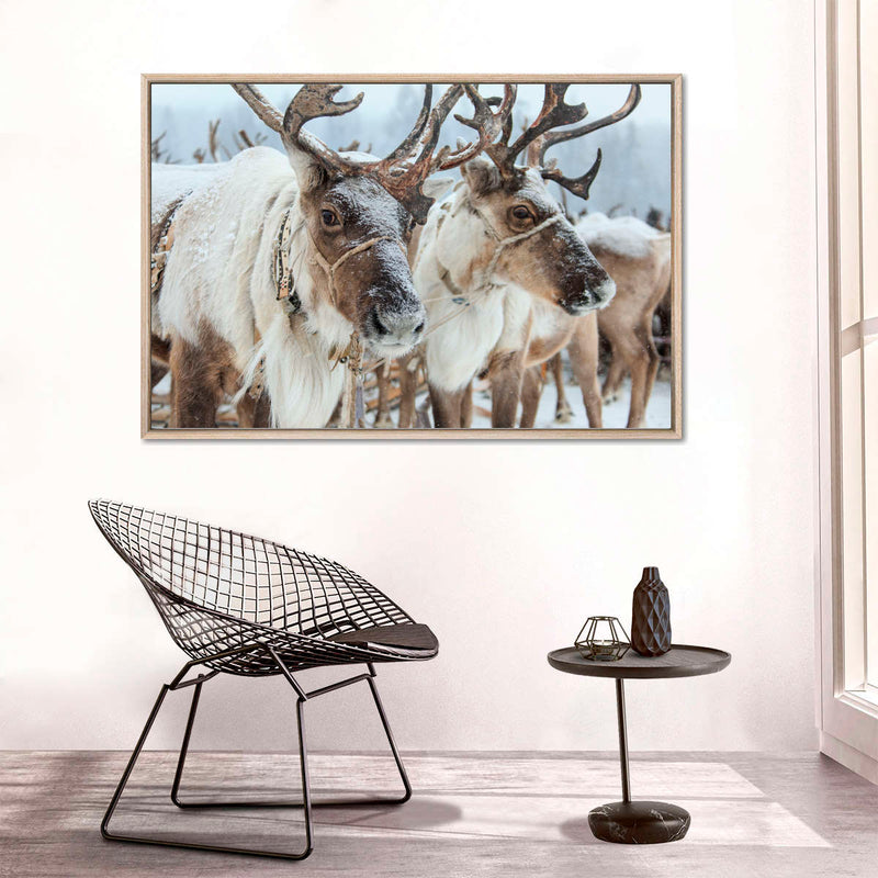 Snow Reindeer Wall Art