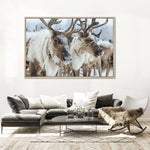 Snow Reindeer Wall Art