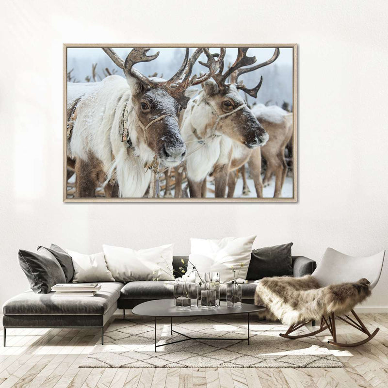 Snow Reindeer Wall Art