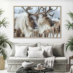 Snow Reindeer Wall Art