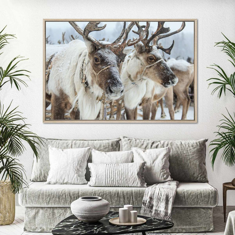 Snow Reindeer Wall Art