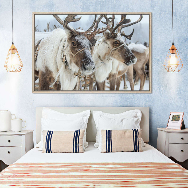 Snow Reindeer Wall Art