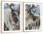 Snow Reindeer Wall Art