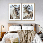 Snow Reindeer Wall Art