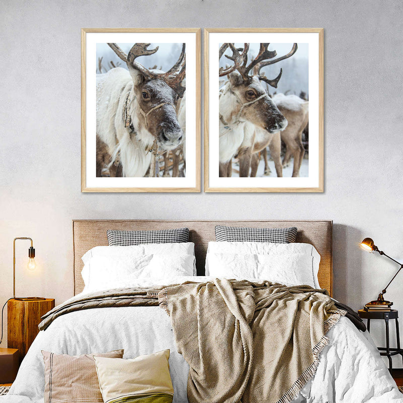 Snow Reindeer Wall Art