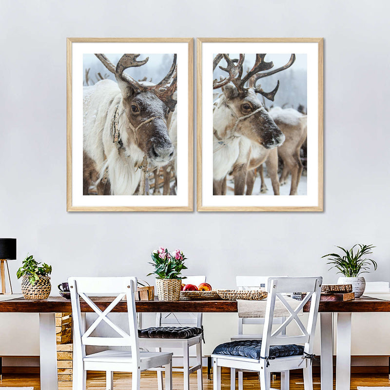 Snow Reindeer Wall Art