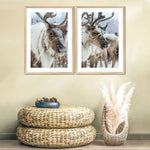 Snow Reindeer Wall Art