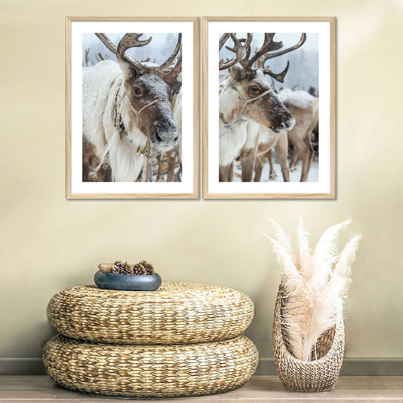 Snow Reindeer Wall Art