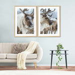 Snow Reindeer Wall Art