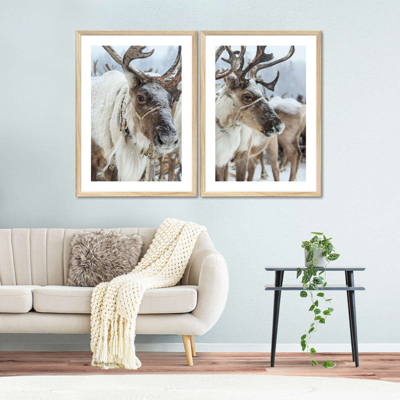 Snow Reindeer Wall Art