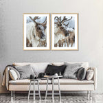 Snow Reindeer Wall Art