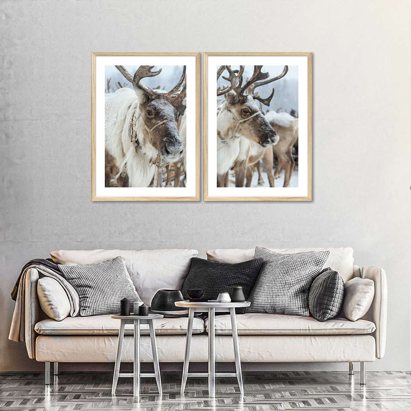 Snow Reindeer Wall Art