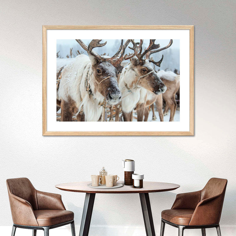 Snow Reindeer Wall Art