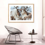 Snow Reindeer Wall Art