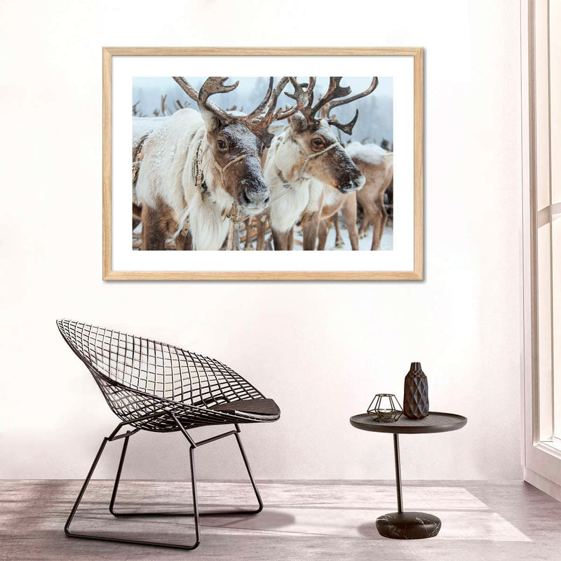 Snow Reindeer Wall Art
