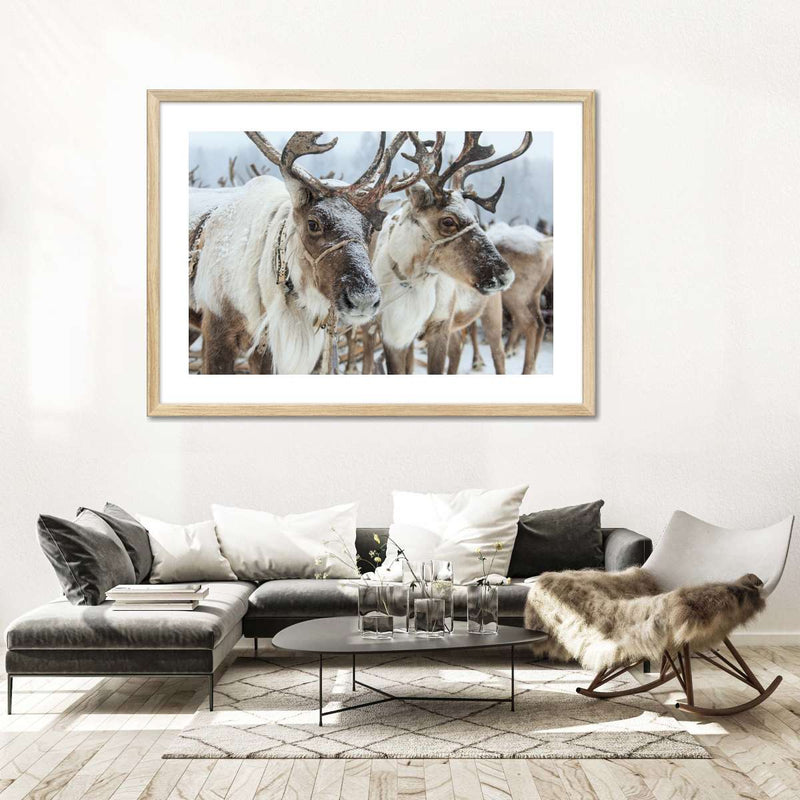 Snow Reindeer Wall Art