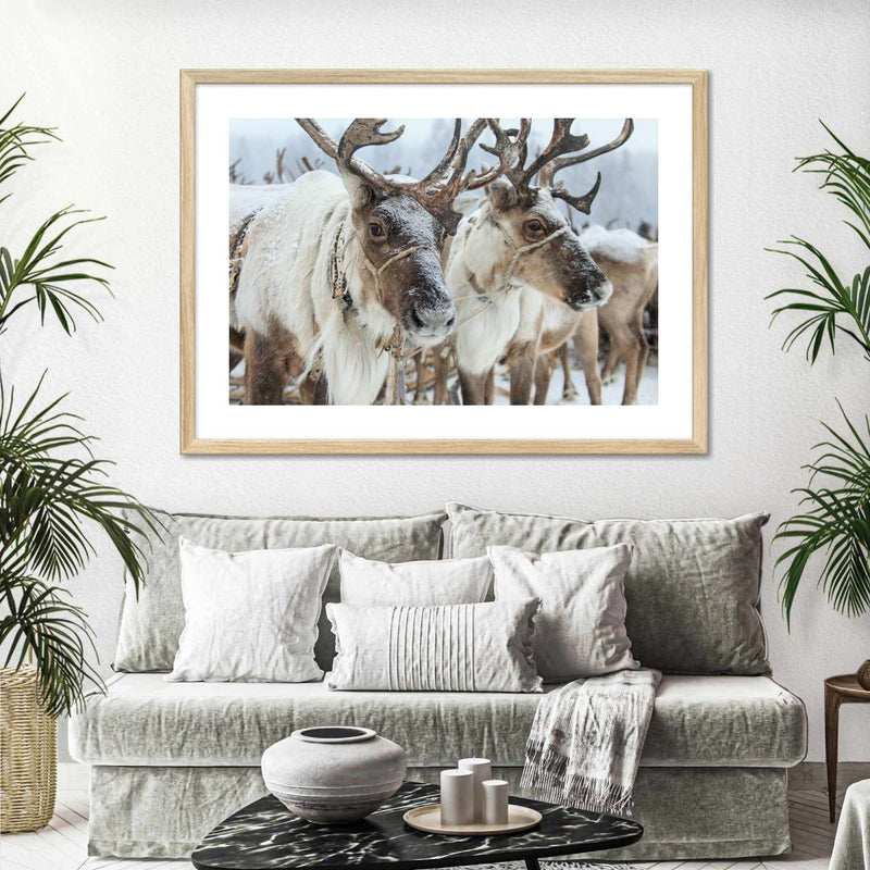 Snow Reindeer Wall Art