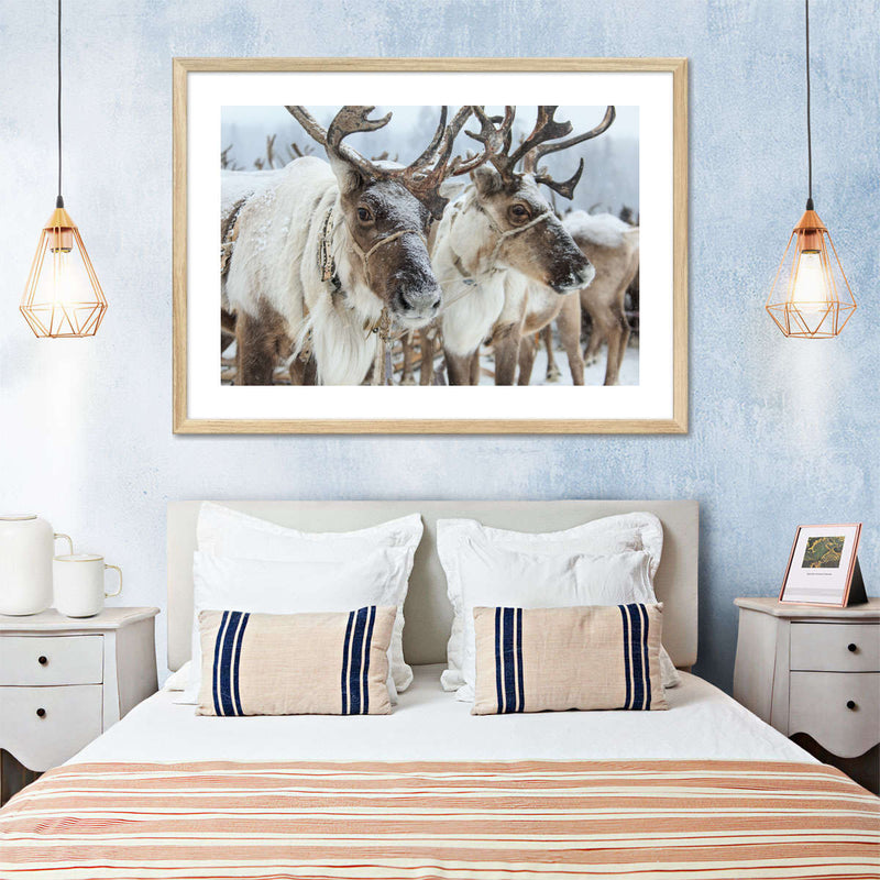 Snow Reindeer Wall Art