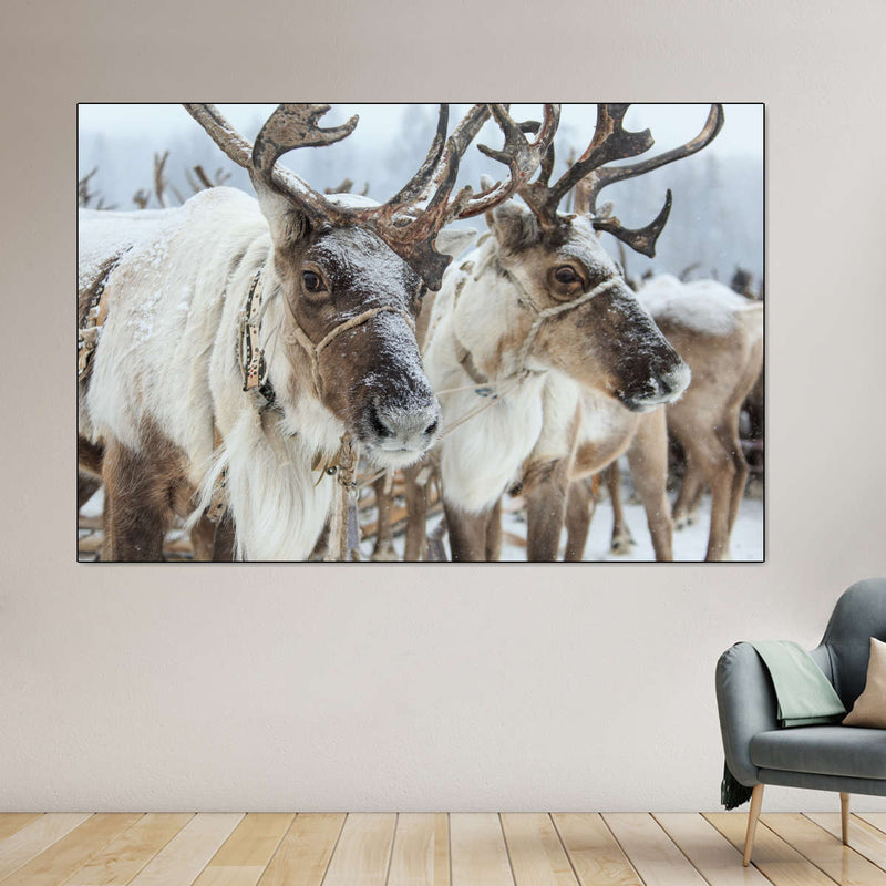 Snow Reindeer Wall Art