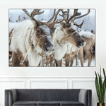 Snow Reindeer Wall Art