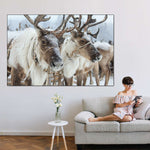 Snow Reindeer Wall Art