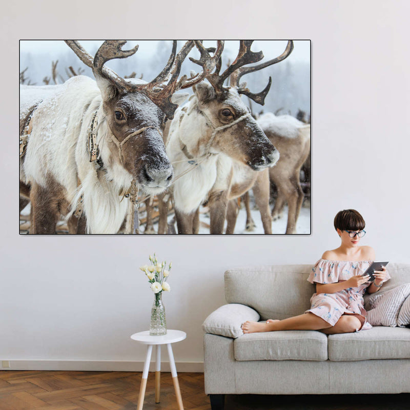 Snow Reindeer Wall Art